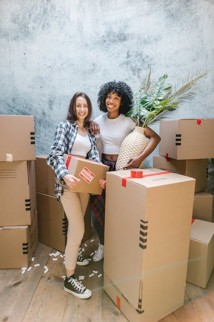 Two men are inside a bright room with large arched windows allowing natural light, engaged in a home relocation process. One man with an afro hairstyle is holding a medium-sized cardboard box, while t